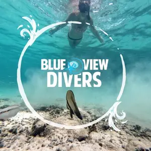 Blue View Divers Phi Phi logo