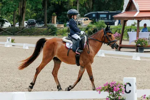 Shetland Pony Riding Experience 3