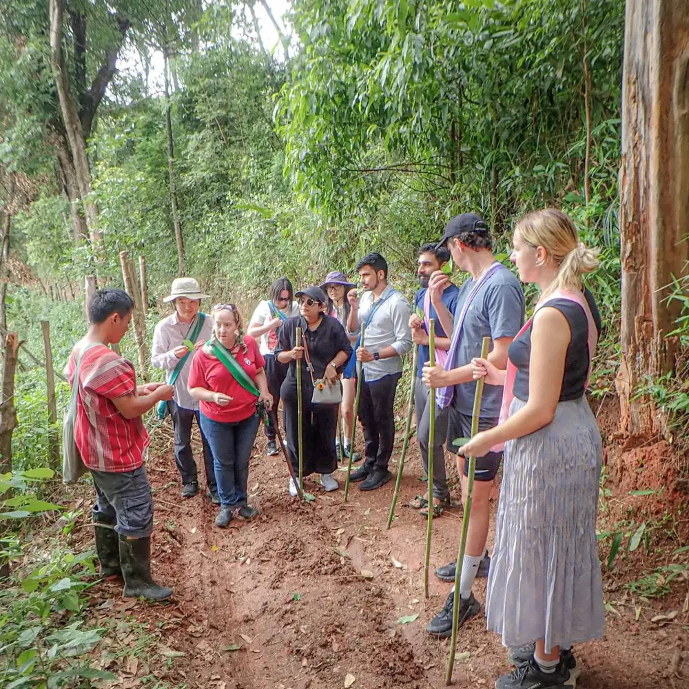 Jungle Trek, Roast & Brew Authentic Karen Coffee Farm Adventure in Chiang Mai görseli 3