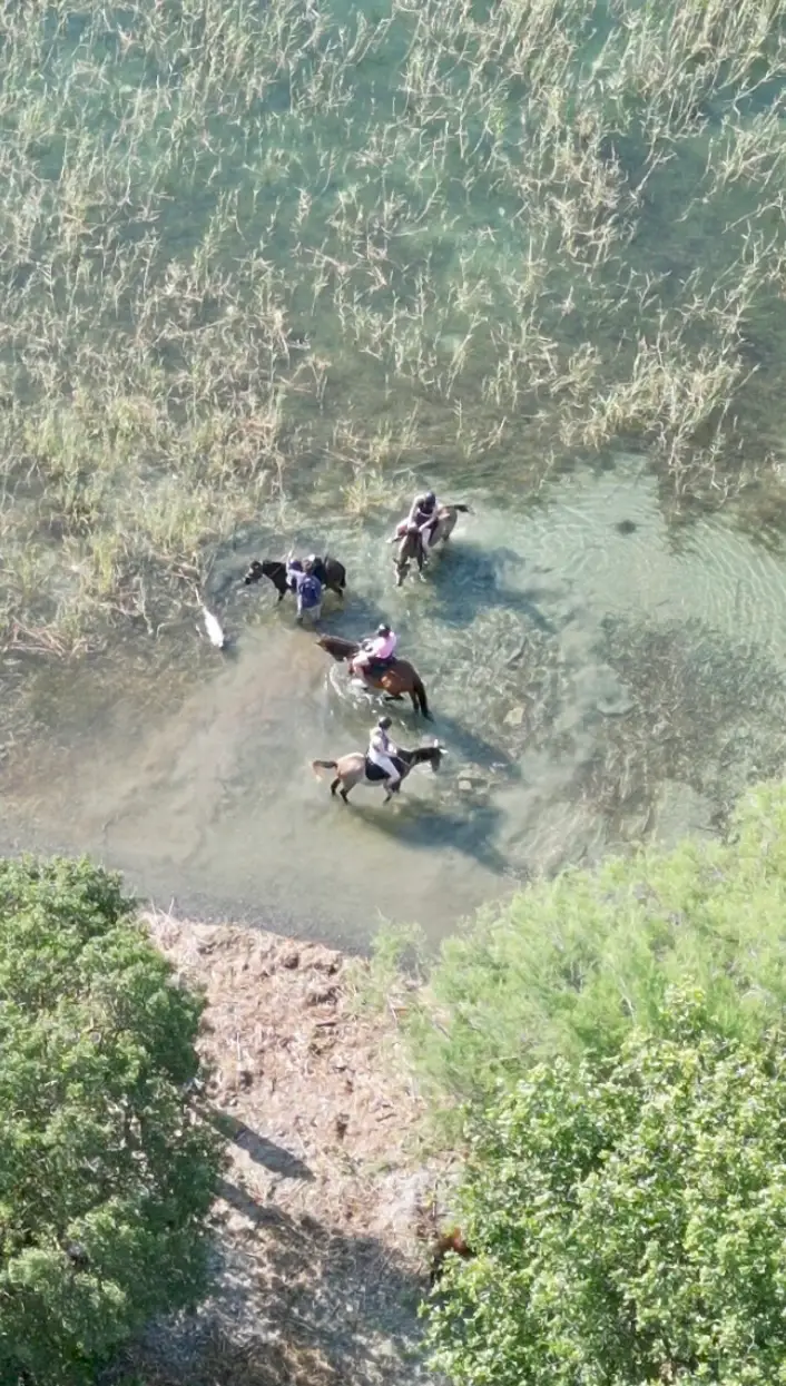 Dalyan Horse Riding Tour to the Lake and Natural Hot Springs with Caunos Horses image 2