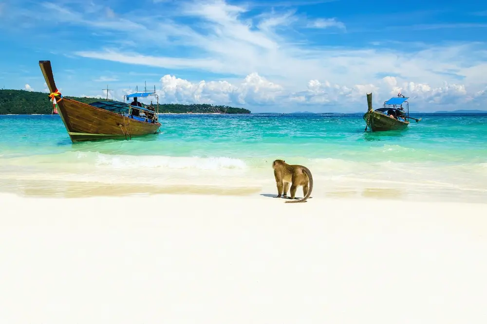 Private Phi Phi Authentic Long Tail Boat Snorkeling Tour image 1