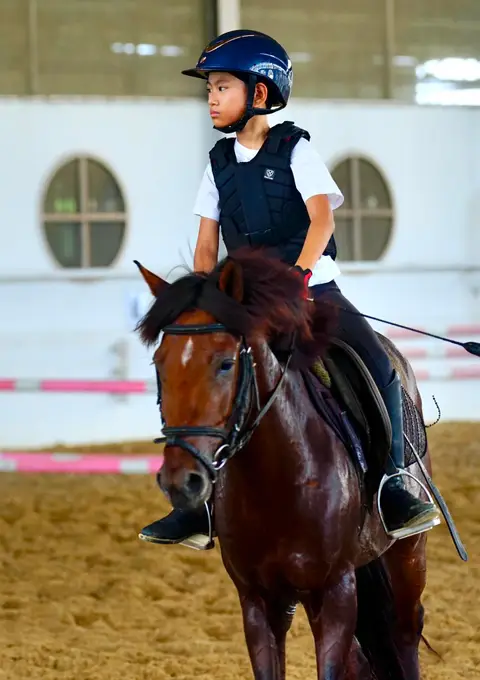 Basic Horse Riding Experience 3