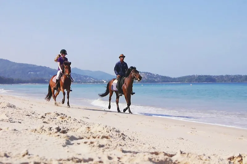 Phuket Beach Horse Riding, Sunset Rides & Horse Surfing Experience image 2