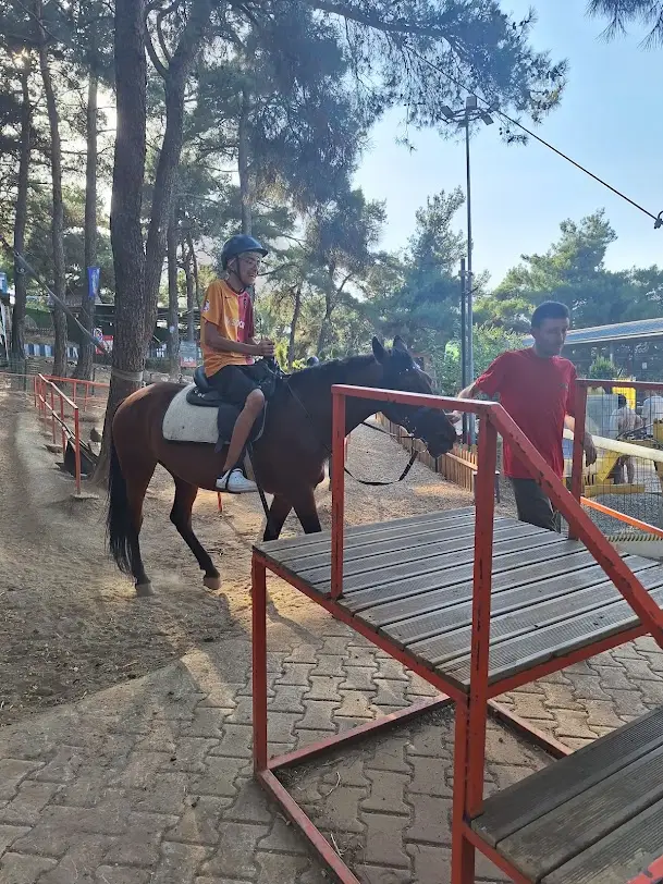 Bursa Nature Horse Riding Experience at Ataturk Kent Ormani image 1