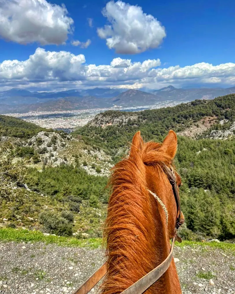Fethiye Horse Riding - Hisaronu Forest Trail with Kayakoy Views image 1