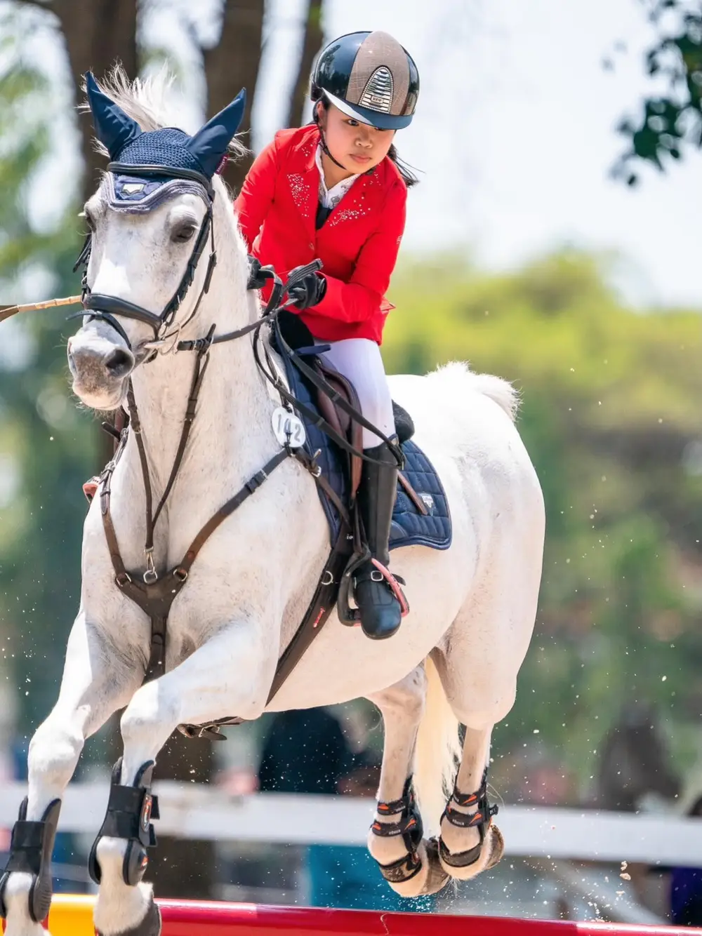 Bangkok Horse Riding Experience at Horse Haven Equestrian Club image 3