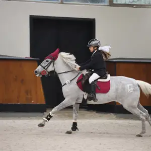 Pegasos Horse Ranch Club | Antalya logo