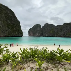 Freedom Travel Longtail Boat | Phi Phi Island logo