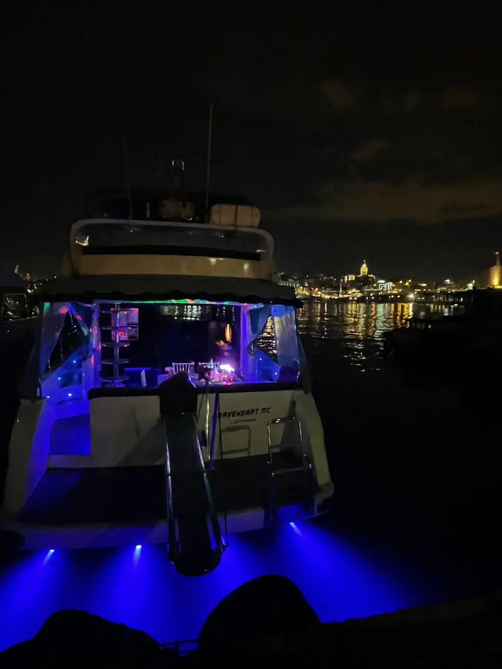 Private Istanbul Bosphorus Yacht Tour from the Golden Horn with Elite Yacht image 3