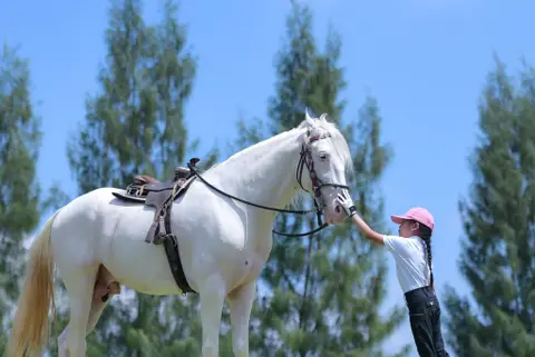 Horseback Archery Experience 2