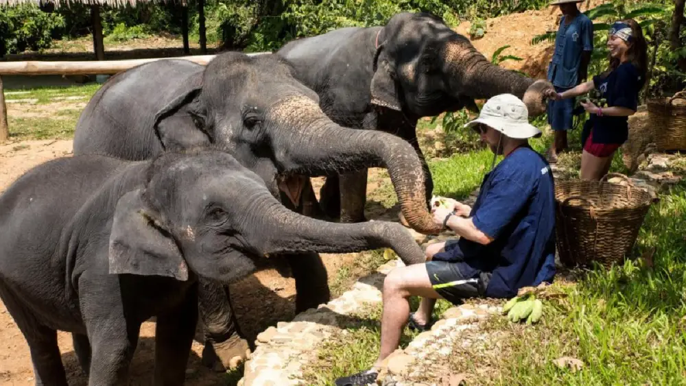 Full-Day Trip to Phang Nga Temple & Nature Places image 2