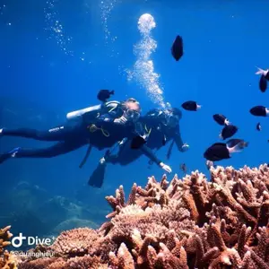 Vietnam Active - PADI 5 Star Diving Center & Snorkeling logo