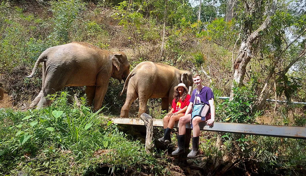Blue Elephant Ethical Elephant Sanctuary Chiang Mai image 2
