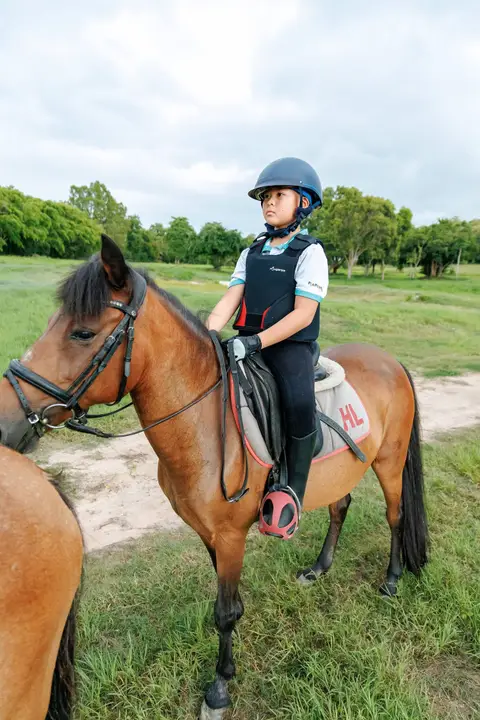 Shetland Pony Riding Experience 2