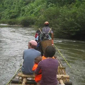 Chiang Mai Trekking with Piroon logo
