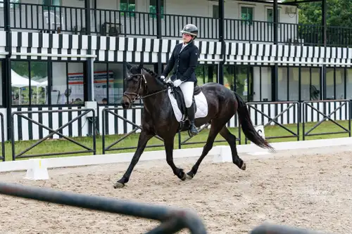 Pattaya Pony and Horse Riding Experience at Pipo Pony Club