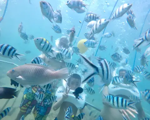 Cham Island Sea Trek Tour 1