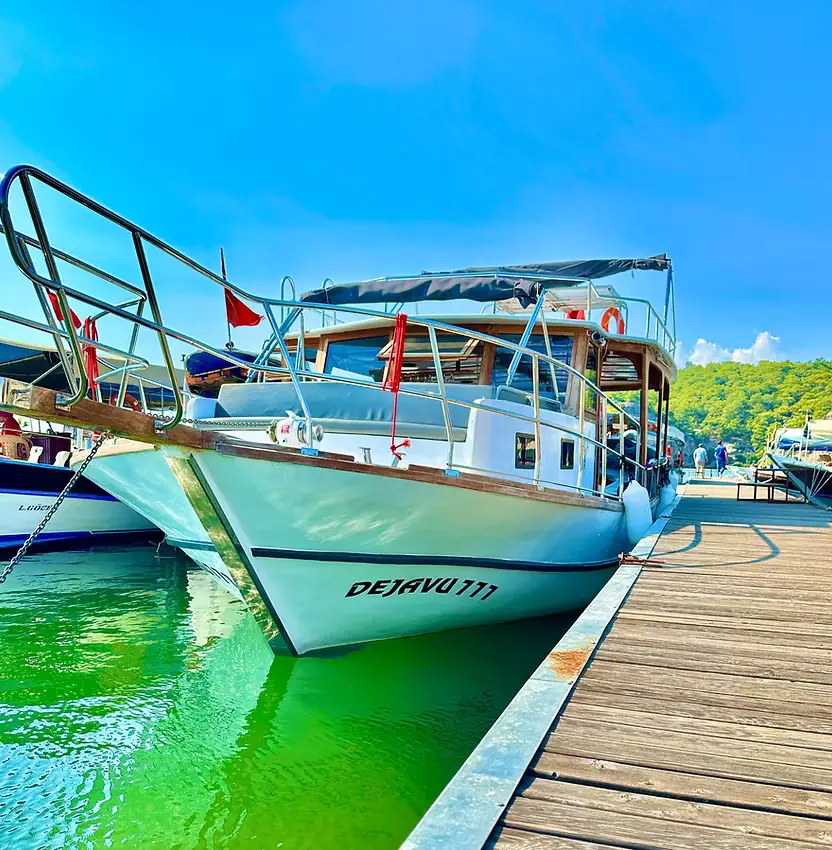 Dejavu Boat Dalyan Tours | Ekincik Bays, Iztuzu Beach and Sunset Cruise image 1