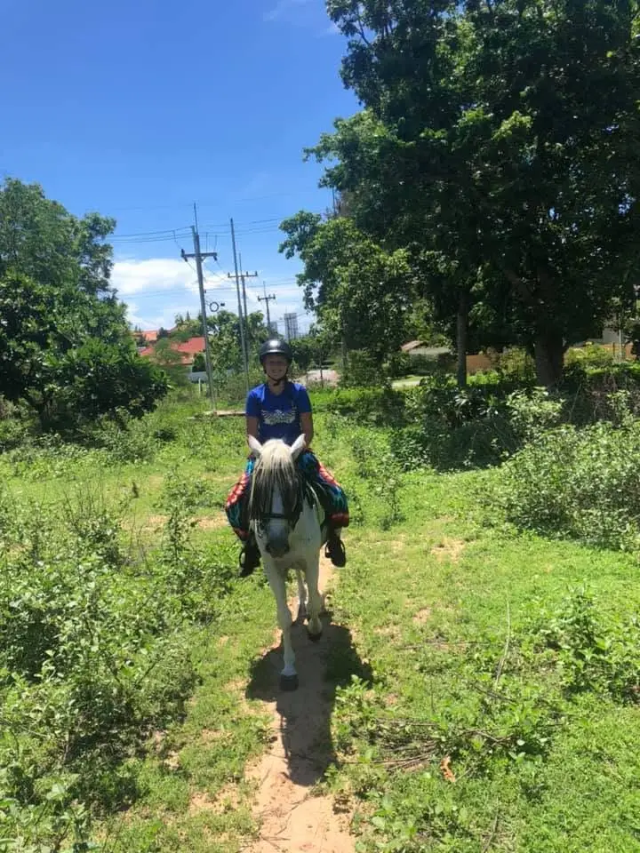 Hua Hin Horse Riding Experience at Hua Hin Horse Club image 1