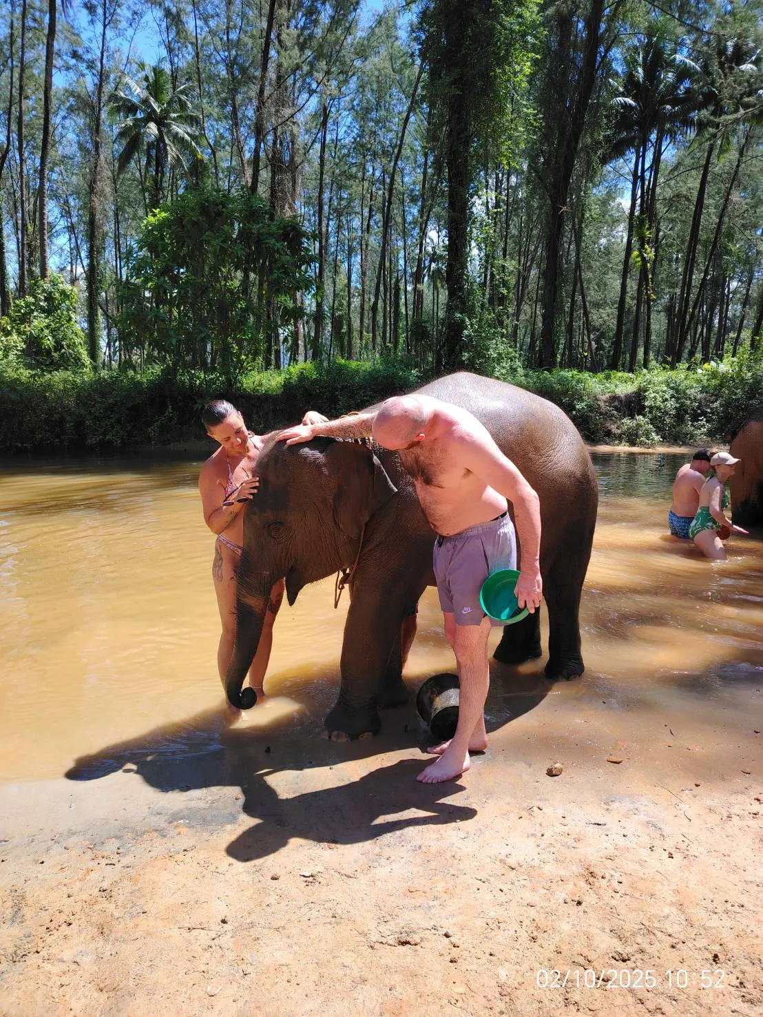 صورة Elephant sanctuary رقم 2