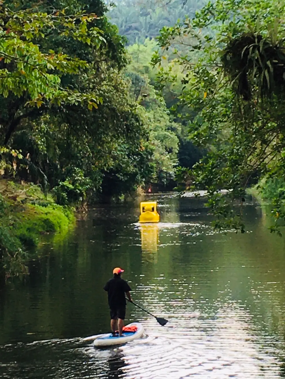 Adventure, Bamboo Rafting, Kayaking, Elephants, ATV, Paddle Boats image 2
