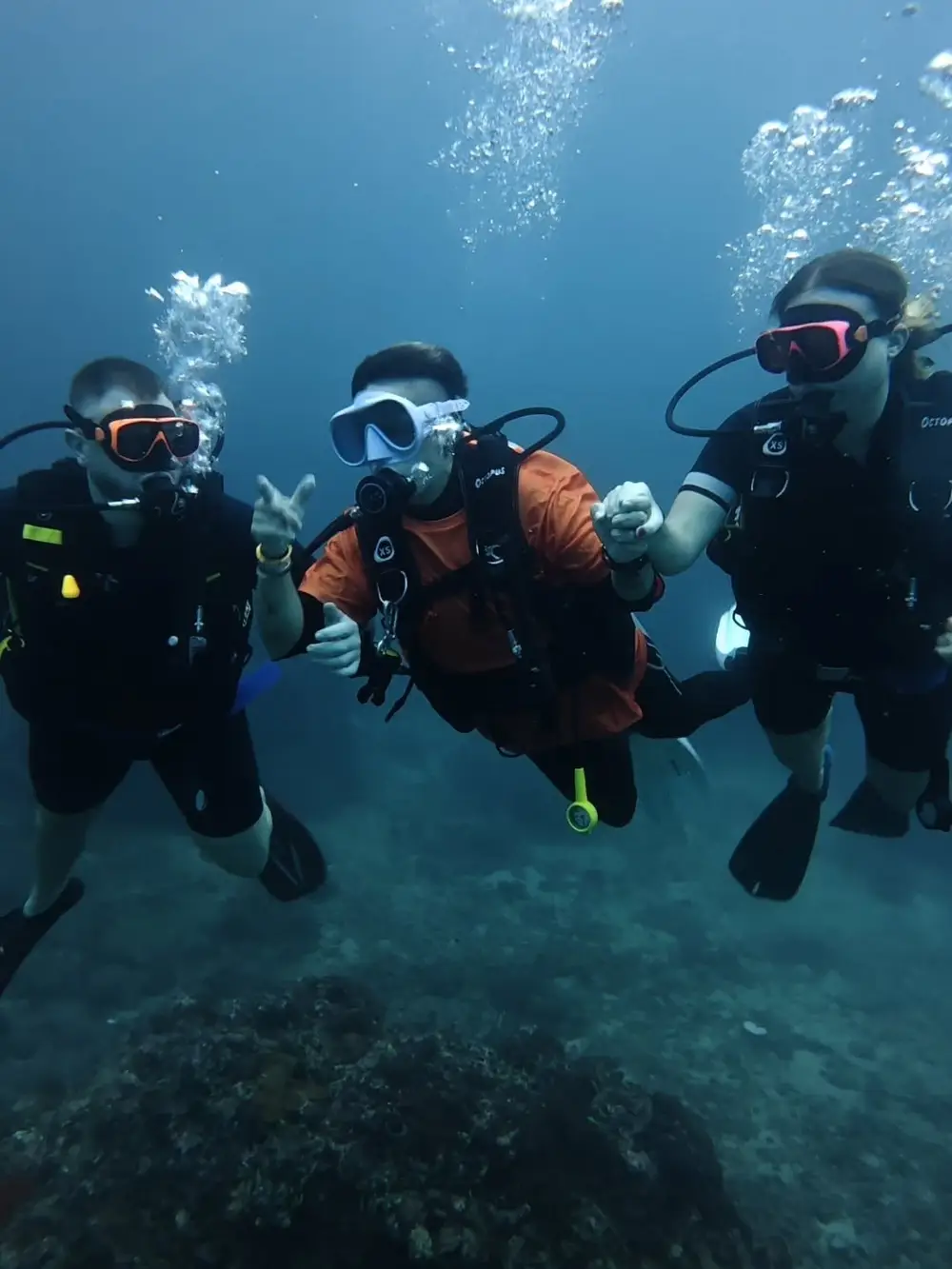Scuba Diving in Phi Phi Island with Phi Phi Sea Frog Fun Dives, Try Dives & SSI Courses image 3