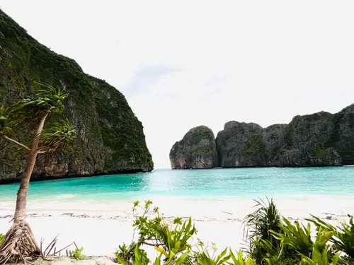 ️Luxury Private Speedboat Day Trip-Pornphinyo Marine
