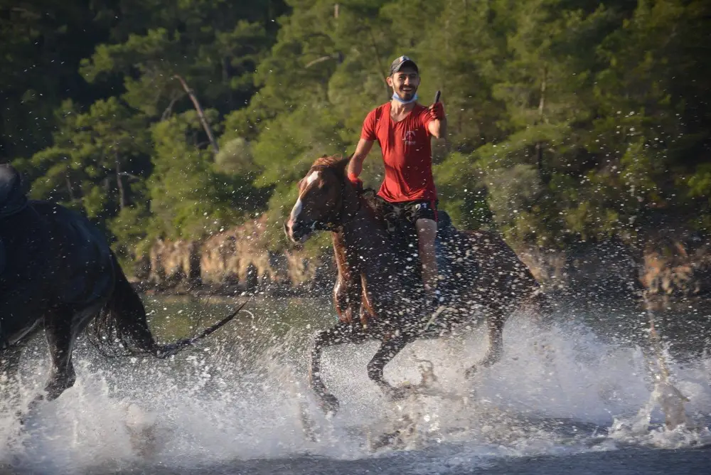 Marmaris Horse Safari with Forest and River Crossing at Pinar Horse Safari image 1