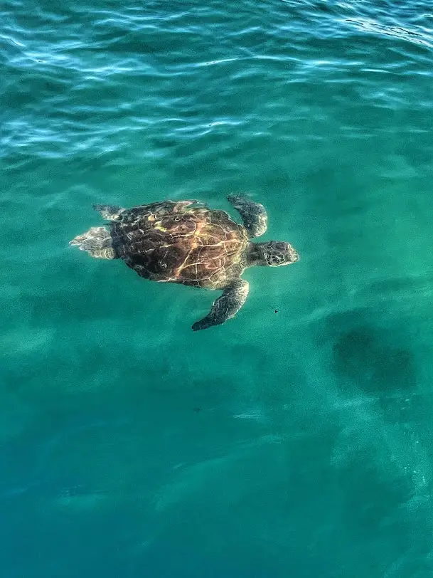 Demre Kekova Shared Boat Tour with Sunken City, Simena and Swimming Stops image 3
