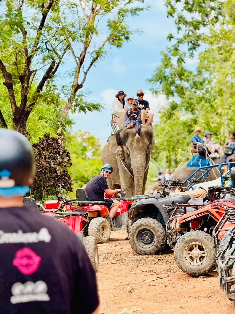 Phuket City Tour with Tiger, Big Buddha, Chalong Temple, ATV Ride, Elephant Trekking görseli 1