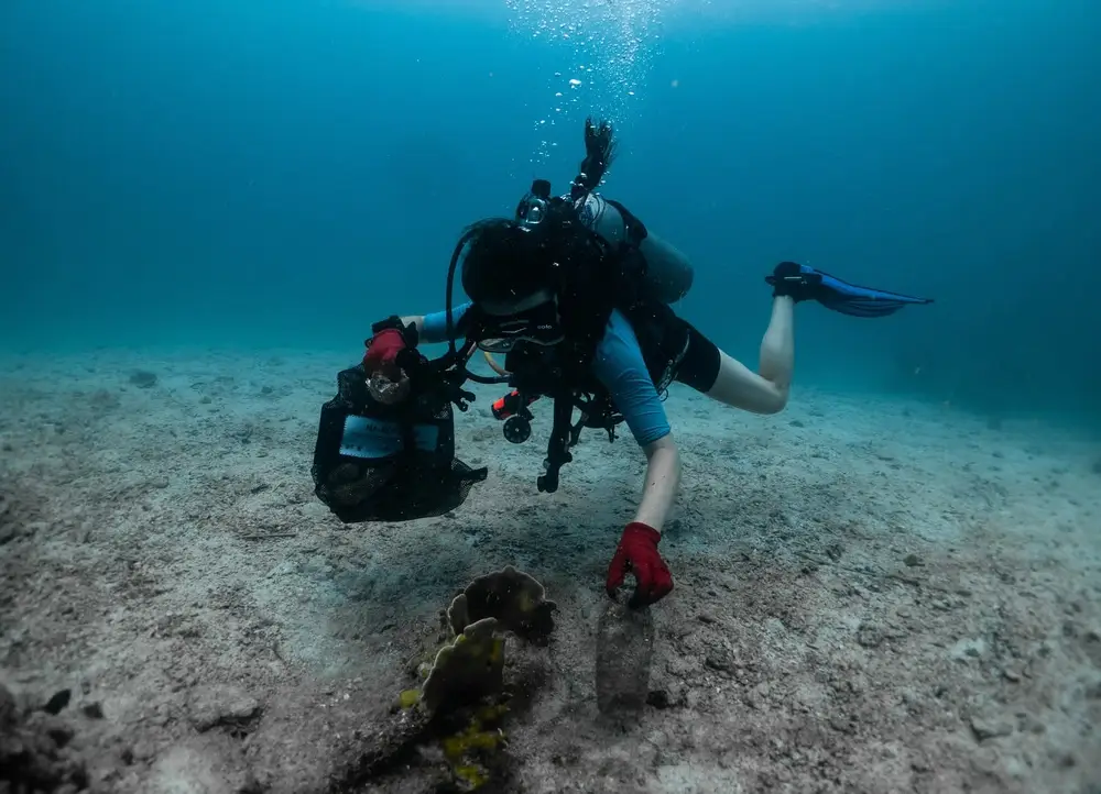 صورة SSI Scuba Diving Courses with Roctopus Dive Koh Tao رقم 2