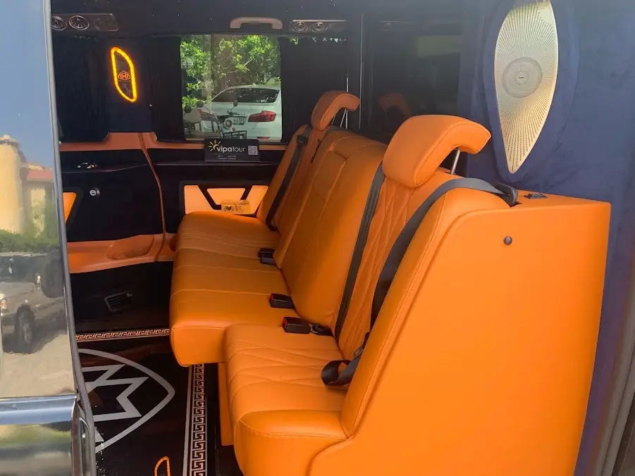 安塔利亚 Air Limousine 私人 VIP 机场接送 图片 3
