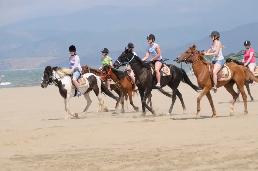 Kusadasi Horse Safari from Forest Trails to Pamucak Beach image 1