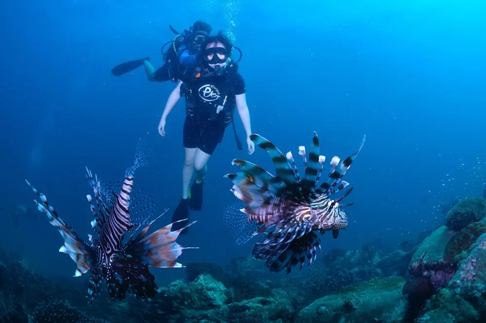 صورة اكتشف الغوص مع PADI من خلال PKT diveing رقم 1