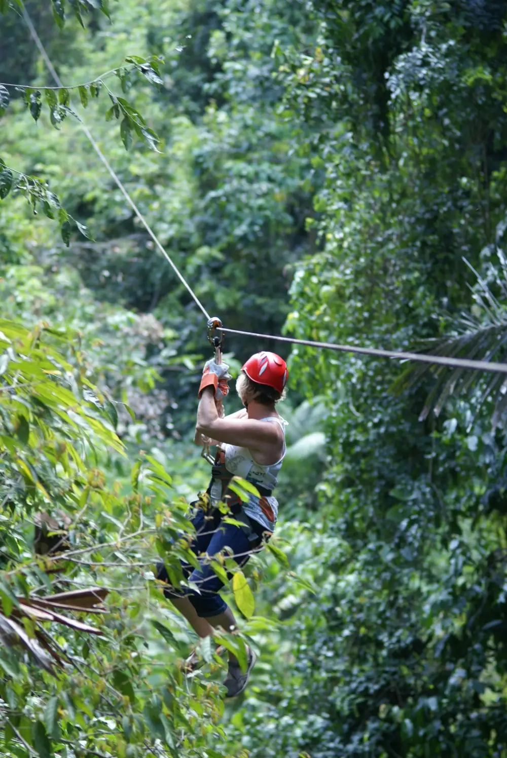 Krabi Thai'd Up Adventures Zipline, Climbing and Abseiling Experience image 3