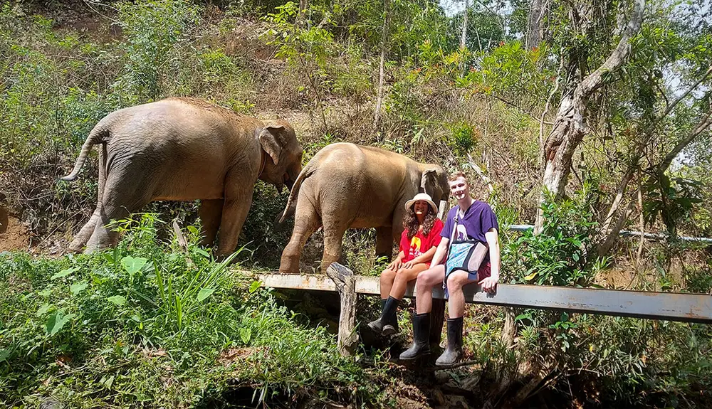 Blue Elephant Ethical Elephant Sanctuary Chiang Mai image 2
