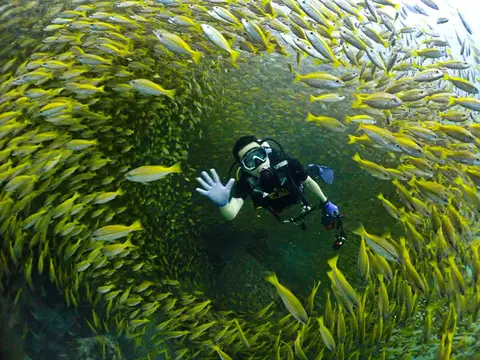 2 Fun Dives 2