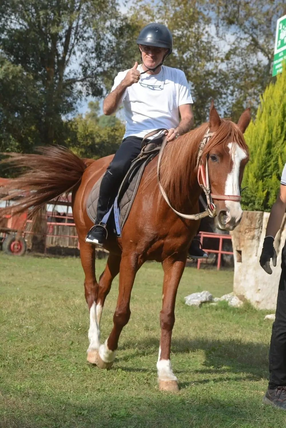 Marmaris Horse Safari with Forest and River Crossing at Pinar Horse Safari image 2