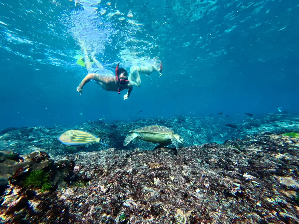 صورة Nusa Lembongan Guided Snorkeling Experience with Shared and Private Boat Options رقم 3