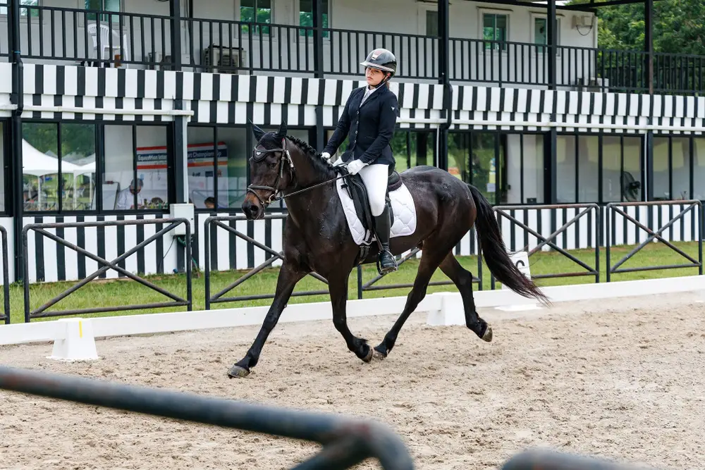 Pattaya Pony and Horse Riding Experience at Pipo Pony Club image 1