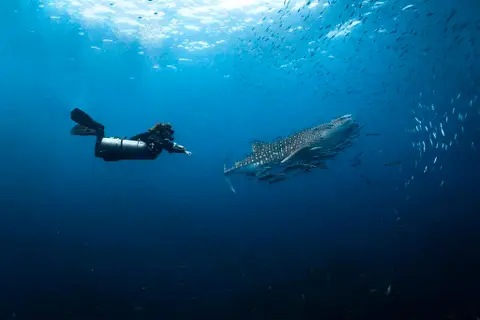 2 Fun Dives 3
