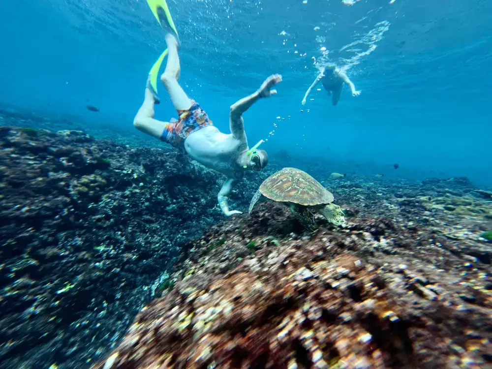 صورة Nusa Lembongan Guided Snorkeling Experience with Shared and Private Boat Options رقم 2