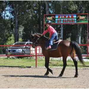 Marmaris Pınar Horse Safari | Muğla logo