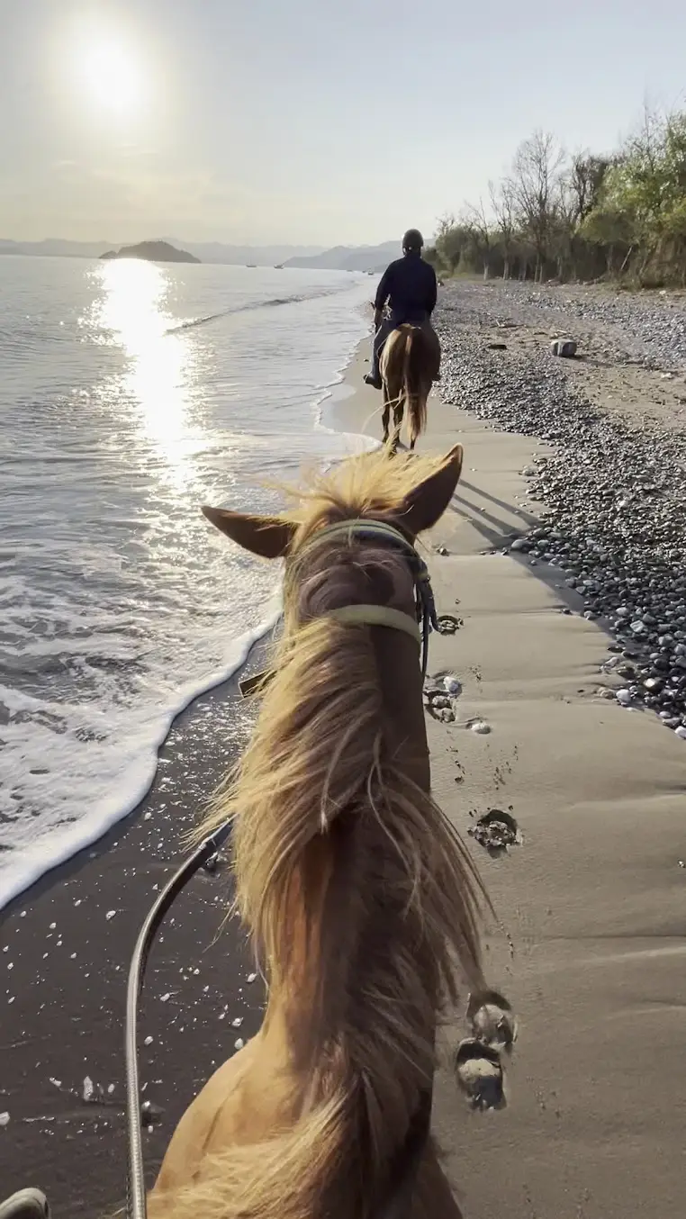 Fethiye Horse Riding Safari - 2-Hour Forest and Beach Ride image 1