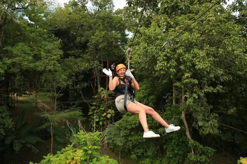 Phoenix Adventure Park, Zipline, High Rope, Train, Sheep Farm, Fly Line activities görseli 2