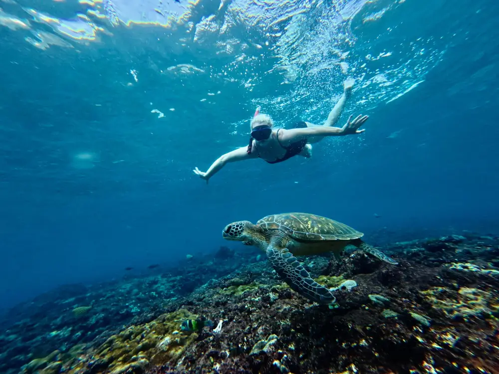 صورة Nusa Lembongan Guided Snorkeling Experience with Shared and Private Boat Options رقم 1