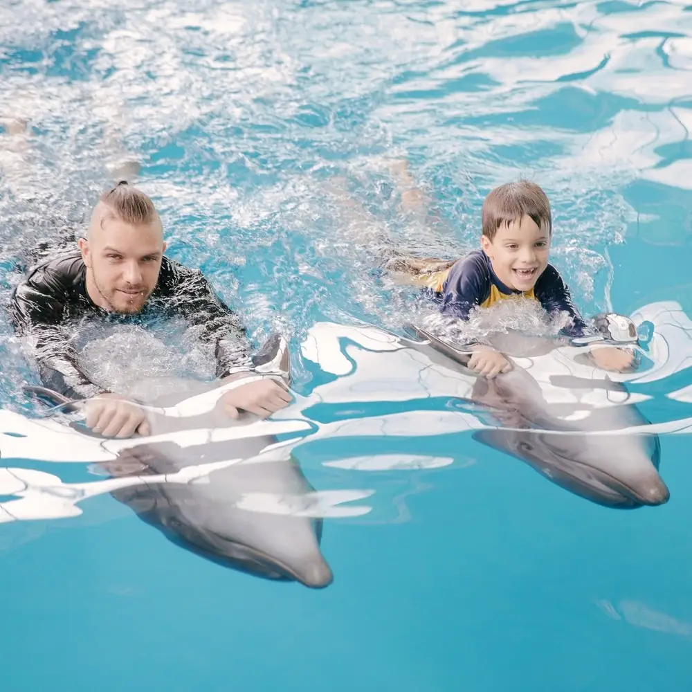 Pattaya Dolphinarium Dolphin & Seal Show Admission Ticket görseli 2