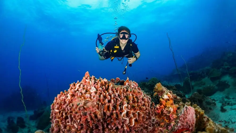 صورة SSI Scuba Diving Courses with Roctopus Dive Koh Tao رقم 3
