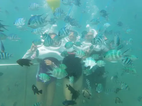 Cham Island Sea Trek Tour 3