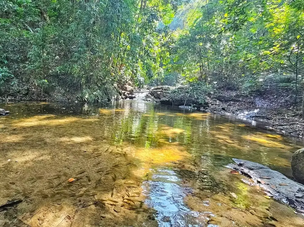 Phang Nga Waterfalls & Rainforest Adventure Tour görseli 1